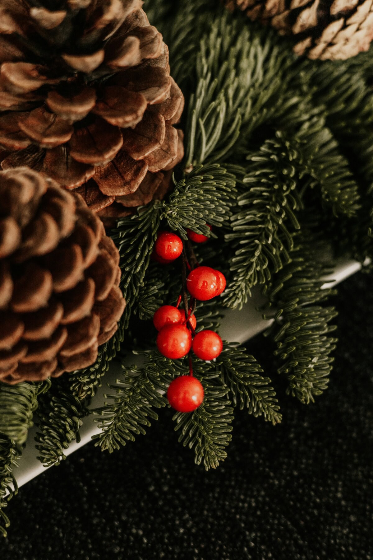 elijah-pilchard-lCE-fsXtSHQ-unsplash-1200x1800