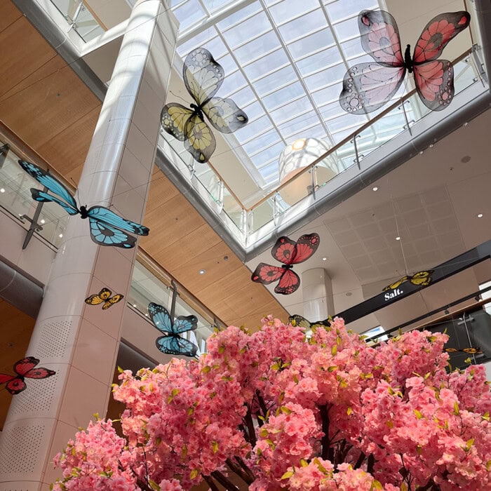 Schmetterling-700x700