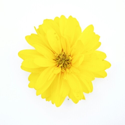 michael-c-GD09X7EPAhM-unsplash-500x500