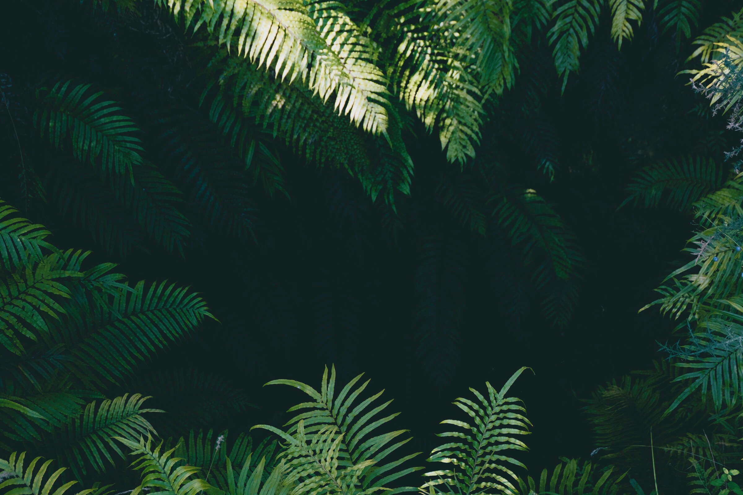 yoal-desurmont-jqgsM3B9Fpo-unsplash-2400x1600